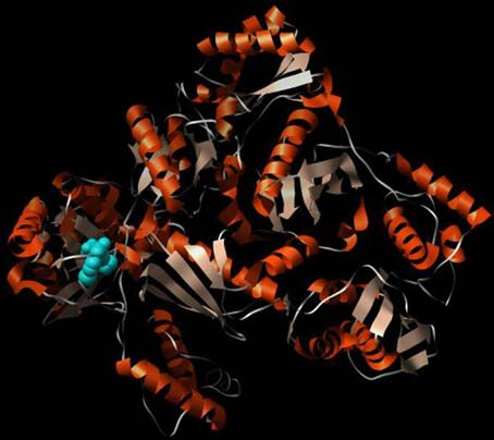 Nolvadex without prescription